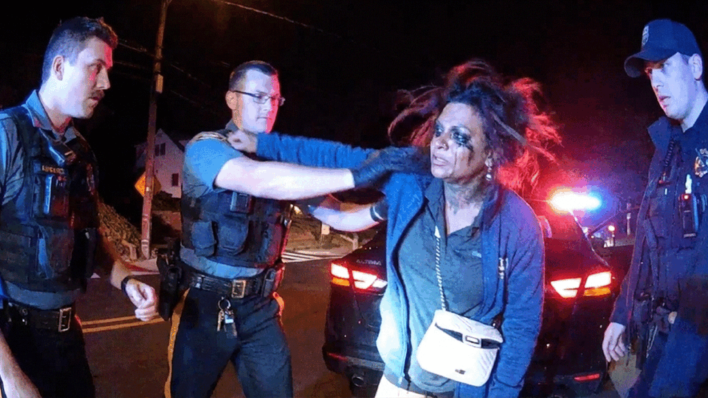 Highlands NJ Police Assault showing officers struggling with a suspect on Linden Avenue.