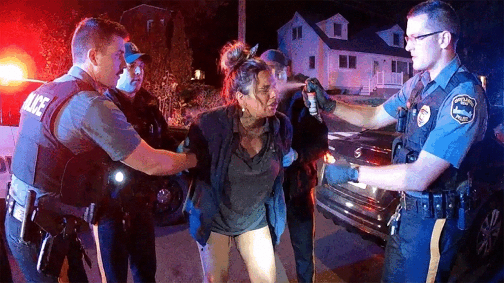 Highlands NJ Police Assault showing officers struggling with a suspect on Linden Avenue.