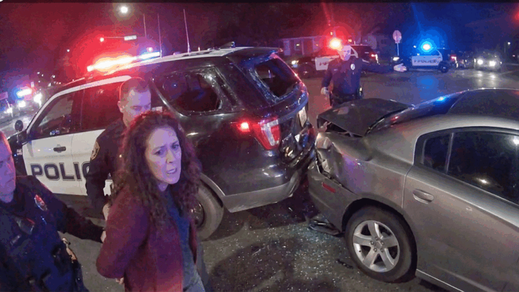 Colts Neck DWI Police Crash scene showing Officer Mason's patrol vehicle and black Lexus SUV.