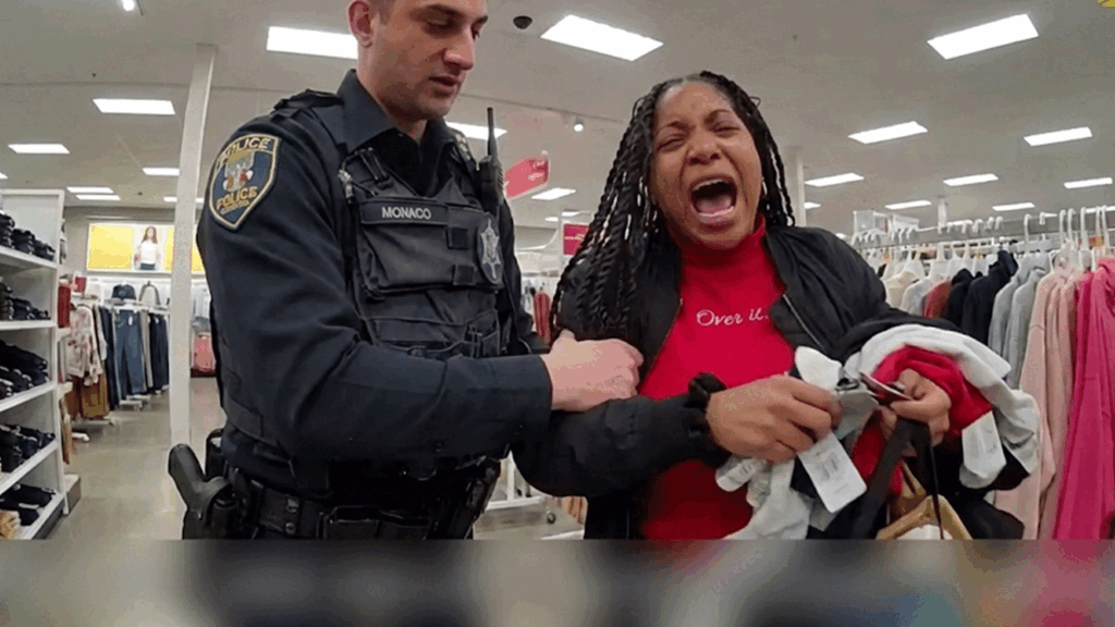 Felony Retail Theft in St. Charles showing officers at the scene of a Target store.