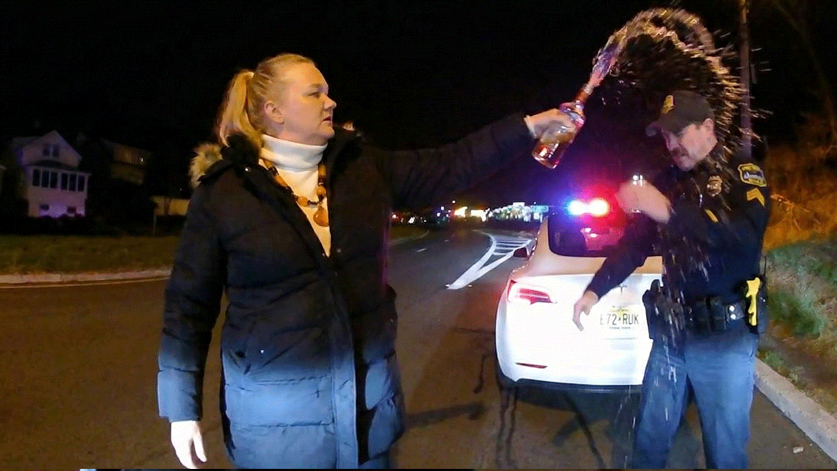 Highlands NJ Tesla DWI Arrest showing officers conducting field sobriety tests on Highway 36.