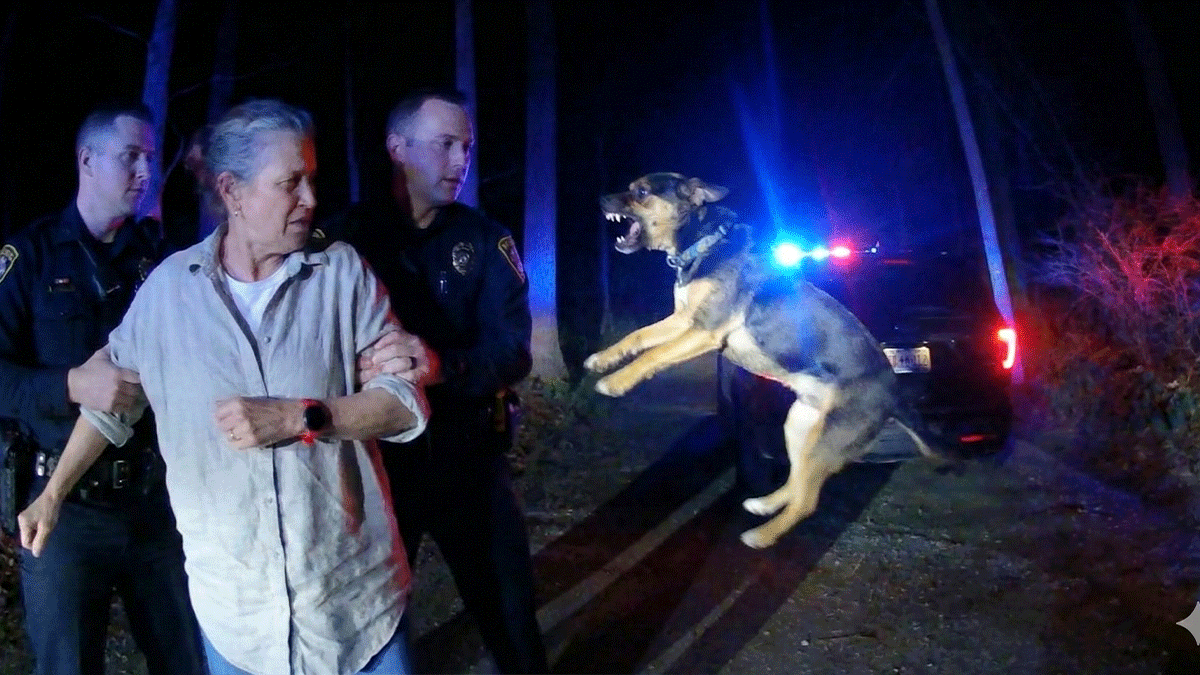 Highlands NJ DWI Arrest showing officers conducting field sobriety tests on Serpentine Drive.