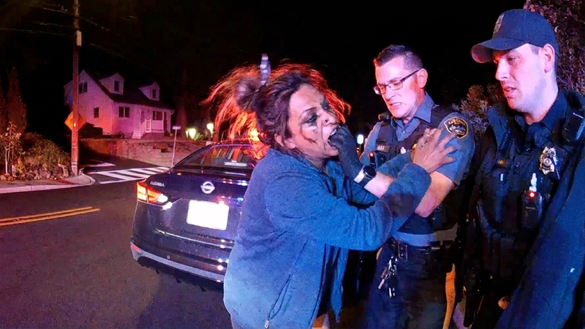 Highlands NJ Police Assault showing officers struggling with a suspect on Linden Avenue.